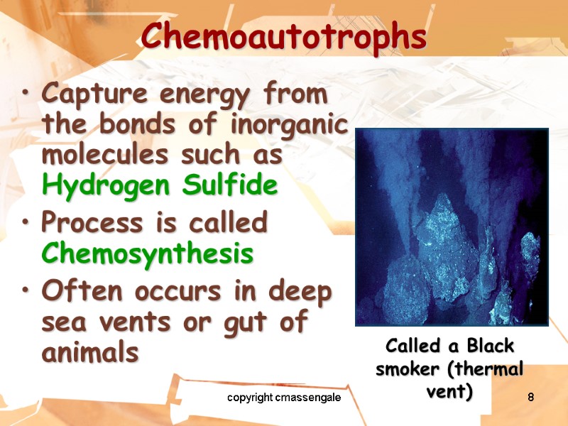 8 Chemoautotrophs Capture energy from the bonds of inorganic molecules such as Hydrogen Sulfide